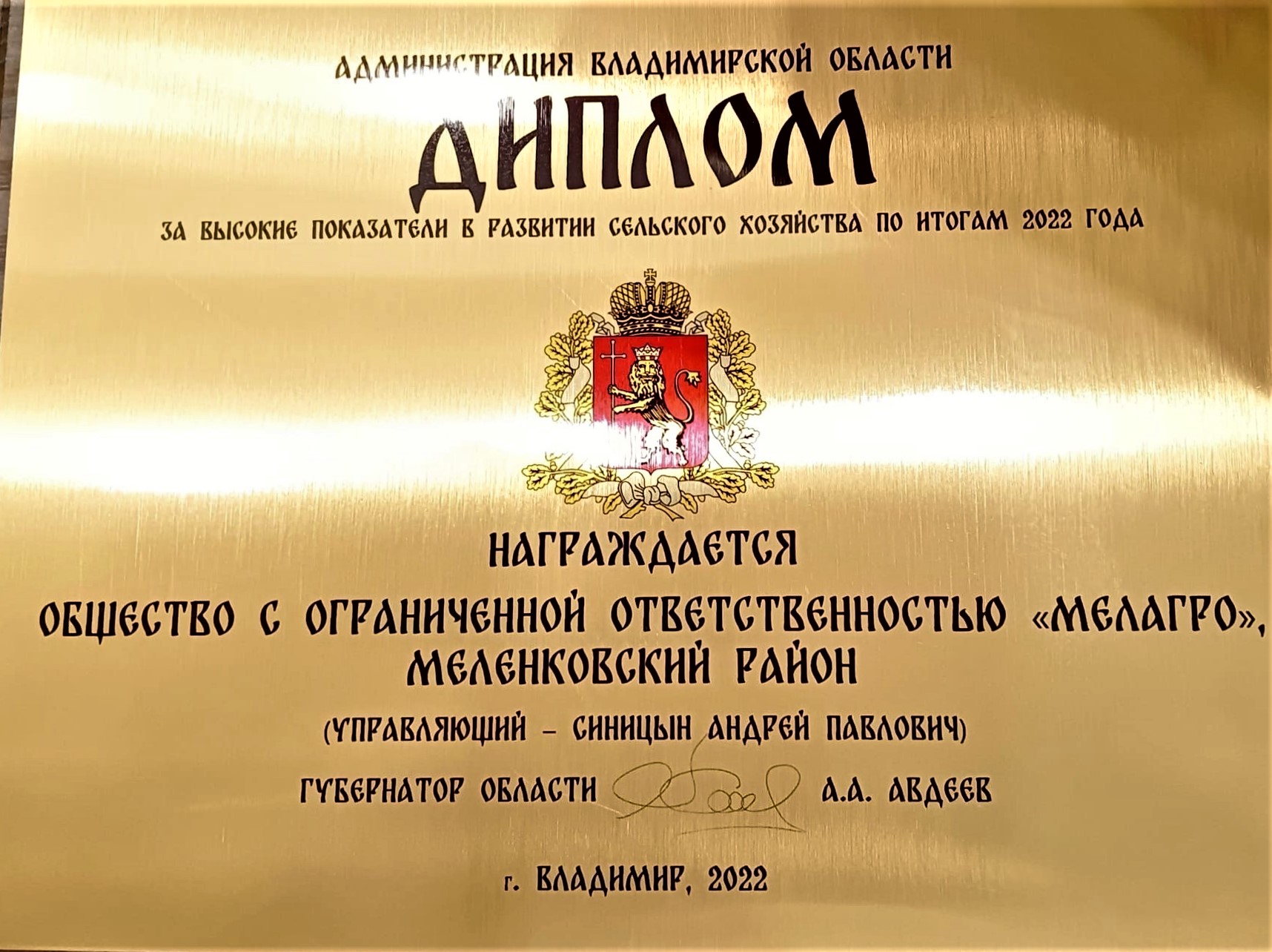 Диплом от администрации Владимирской области